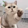 GeooroodBuddy
