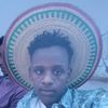 .lij.yedima