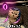 heybenemir