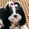 karmen.ruby