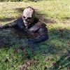 Bog Ghoul
