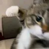 wtm_4786