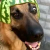 gjxdjkliy