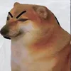 bo_khong_hat0