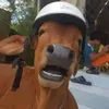 bebanhbo18