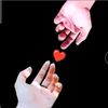 md.fowal