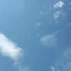 niyitegeka.etienn2