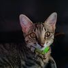 jurika.fourie.123