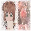 saac_04