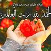 mahnoor.mahnoor249