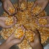 amit.hasan.tarek1