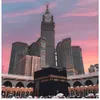 sana.hussain859