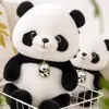 pandasachadinhos