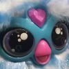 pudin_fan_furby