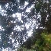 cagito2