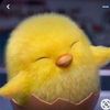 corazondepollito33