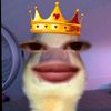 sofiahrawrrrrrr