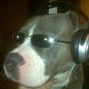jacques1217