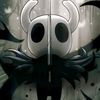 mr.hollownest