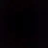unser12345.1