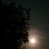 adiba.khan36