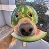 pennytothe_rescue