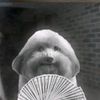 charles_the_blindian