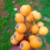 wambo91804