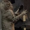 luckykittycat666