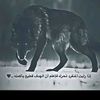 ali.hegazy22