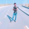 ashudelelegn