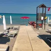 francesco88455