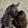 haifa_hd