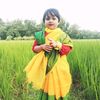 rajibmiah940