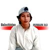 watan_parast313