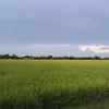bo.loan06