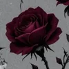 lorena.vasconcelo12