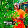 nildiya.tv.lanka