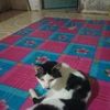 matrifin.abrahman