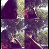 md.shantobay