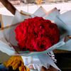 neel.akaser.tara64