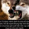 nguyn.phong5932