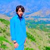 wali.rahman443
