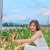 lydia.linlin1112022