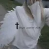 lilyflowerf_