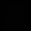 saln419