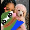 maso.thato