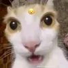 _bananzabalo_69