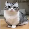 qwertyy4551