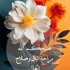 abtsam.ibrahim